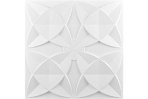 Planchas Decorativas Para Techos 51rCpR-zxPL._AC_UL320_