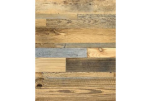 71PTSXRXSbL._AC_UL320_