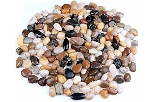 71T6Q8KqnpL._AC_UL320_