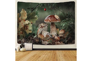 71m44wZvIoL._AC_UL320_