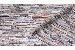 819OsaxOVJL._AC_UL320_