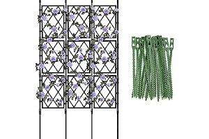 Paneles Decorativos Plantas 81aEd-F4CwL._AC_UL320_