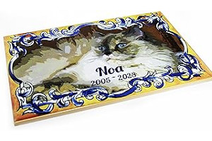 81byEdmD8ZL._AC_UL320_